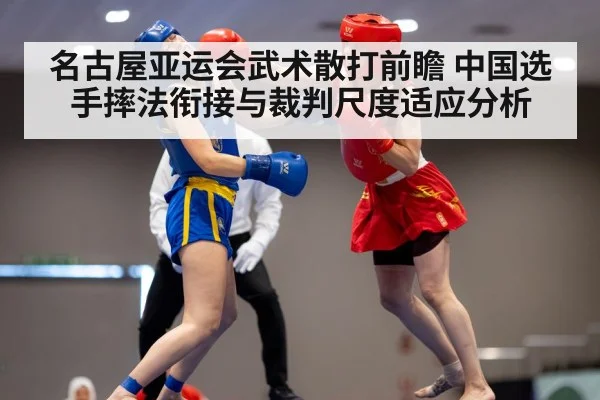 wushu sanda martial arts